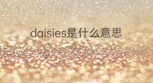daisies是什么意思 daisies的中文翻译、读音、例句