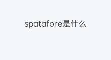 spatafore是什么意思 spatafore的中文翻译、读音、例句
