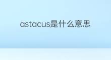 astacus是什么意思 astacus的中文翻译、读音、例句