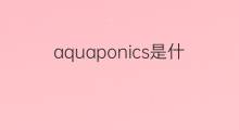 aquaponics是什么意思 aquaponics的中文翻译、读音、例句