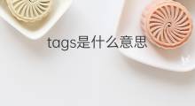 tags是什么意思 tags的中文翻译、读音、例句