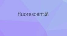 fluorescent是什么意思 fluorescent的中文翻译、读音、例句
