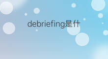 debriefing是什么意思 debriefing的中文翻译、读音、例句