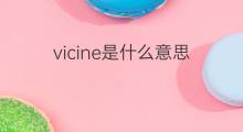 vicine是什么意思 vicine的中文翻译、读音、例句