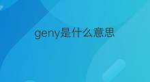 geny是什么意思 geny的中文翻译、读音、例句
