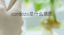 cardozo是什么意思 cardozo的中文翻译、读音、例句