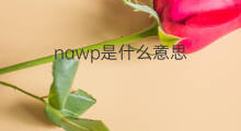 nawp是什么意思 nawp的中文翻译、读音、例句