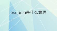 esquela是什么意思 esquela的中文翻译、读音、例句
