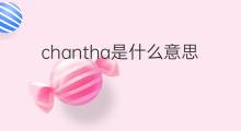 chantha是什么意思 chantha的中文翻译、读音、例句
