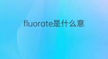 fluorate是什么意思 fluorate的中文翻译、读音、例句