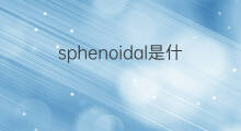 sphenoidal是什么意思 sphenoidal的中文翻译、读音、例句