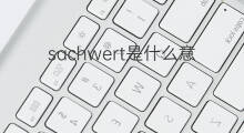 sachwert是什么意思 sachwert的中文翻译、读音、例句