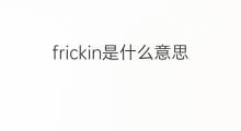 frickin是什么意思 frickin的中文翻译、读音、例句