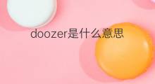 doozer是什么意思 doozer的中文翻译、读音、例句