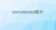 unmolested是什么意思 unmolested的中文翻译、读音、例句