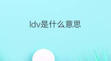 ldv是什么意思 ldv的中文翻译、读音、例句