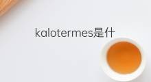 kalotermes是什么意思 kalotermes的中文翻译、读音、例句