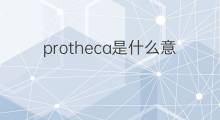 protheca是什么意思 protheca的中文翻译、读音、例句