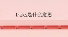 treks是什么意思 treks的中文翻译、读音、例句