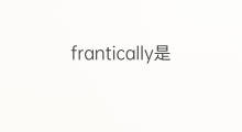 frantically是什么意思 frantically的中文翻译、读音、例句