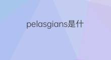 pelasgians是什么意思 pelasgians的中文翻译、读音、例句