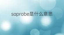 saprobe是什么意思 saprobe的中文翻译、读音、例句