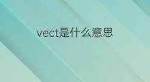 vect是什么意思 vect的中文翻译、读音、例句