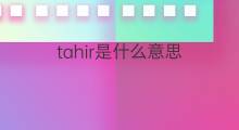 tahir是什么意思 tahir的中文翻译、读音、例句