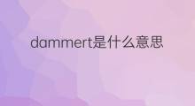dammert是什么意思 dammert的中文翻译、读音、例句
