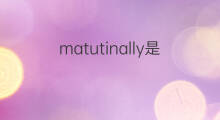 matutinally是什么意思 matutinally的中文翻译、读音、例句