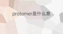 protomer是什么意思 protomer的中文翻译、读音、例句