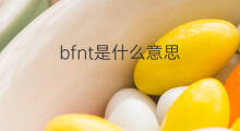 bfnt是什么意思 bfnt的中文翻译、读音、例句