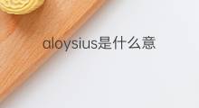 aloysius是什么意思 aloysius的中文翻译、读音、例句