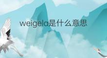 weigela是什么意思 weigela的中文翻译、读音、例句
