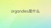 organdies是什么意思 organdies的中文翻译、读音、例句