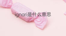 ignari是什么意思 ignari的中文翻译、读音、例句