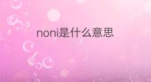 noni是什么意思 noni的中文翻译、读音、例句