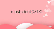mastodont是什么意思 mastodont的中文翻译、读音、例句