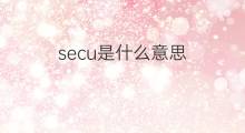 secu是什么意思 secu的中文翻译、读音、例句