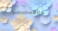 palmolive是什么意思 palmolive的中文翻译、读音、例句