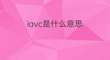 iavc是什么意思 iavc的中文翻译、读音、例句