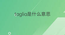 taglia是什么意思 taglia的中文翻译、读音、例句