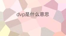 dvp是什么意思 dvp的中文翻译、读音、例句