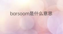 barsoom是什么意思 barsoom的中文翻译、读音、例句
