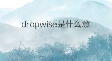 dropwise是什么意思 dropwise的中文翻译、读音、例句