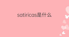 satiricas是什么意思 satiricas的中文翻译、读音、例句