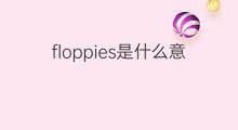 floppies是什么意思 floppies的中文翻译、读音、例句