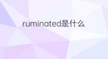 ruminated是什么意思 ruminated的中文翻译、读音、例句