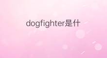 dogfighter是什么意思 dogfighter的中文翻译、读音、例句
