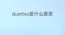 duettes是什么意思 duettes的中文翻译、读音、例句
